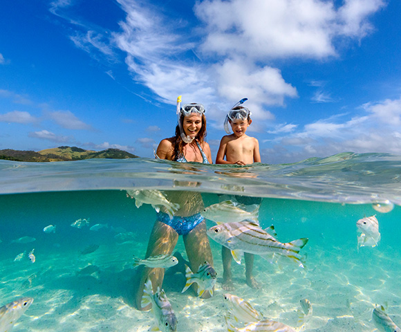 Snorkelling and Diving in Fiji - Gallery Image