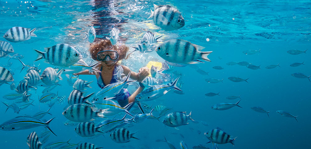 Snorkelling and Diving in Fiji - Gallery Image