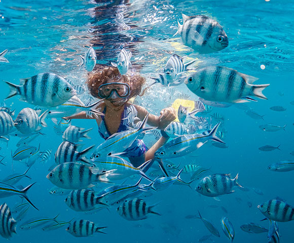 Snorkelling and Diving in Fiji - Gallery Image