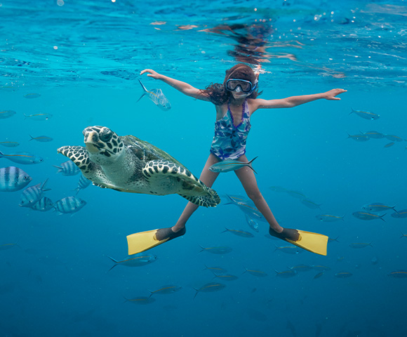 Snorkelling and Diving in Fiji - Hero Image