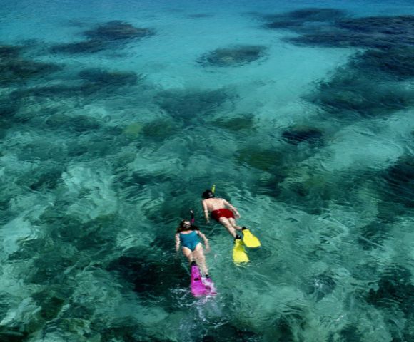 my-fiji-10032457-two-people-snorkelling-the-bay-of-islands-reef-at-vanua-levu