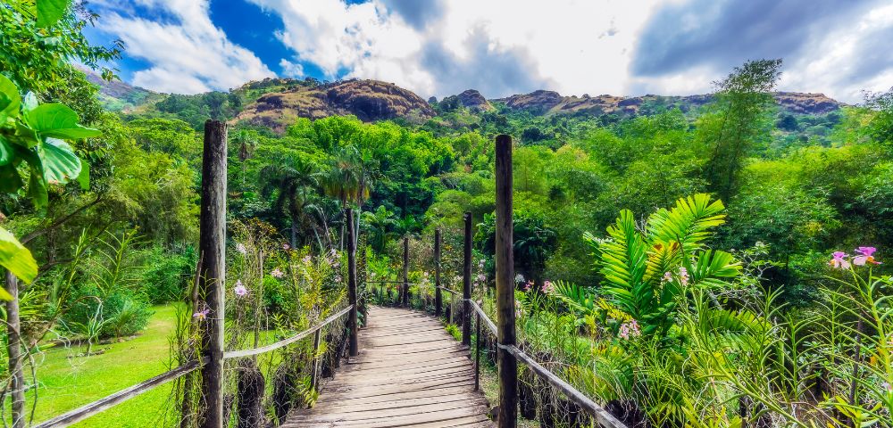 my-fiji-1092346376-boardwalk-through-the-garden-of-the-sleeping-giant-in-lautoka