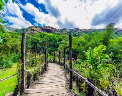 my-fiji-1092346376-boardwalk-through-the-garden-of-the-sleeping-giant-in-lautoka