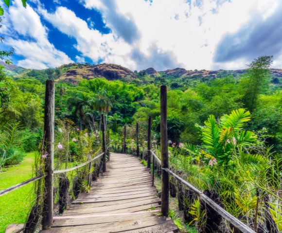 my-fiji-1092346376-boardwalk-through-the-garden-of-the-sleeping-giant-in-lautoka