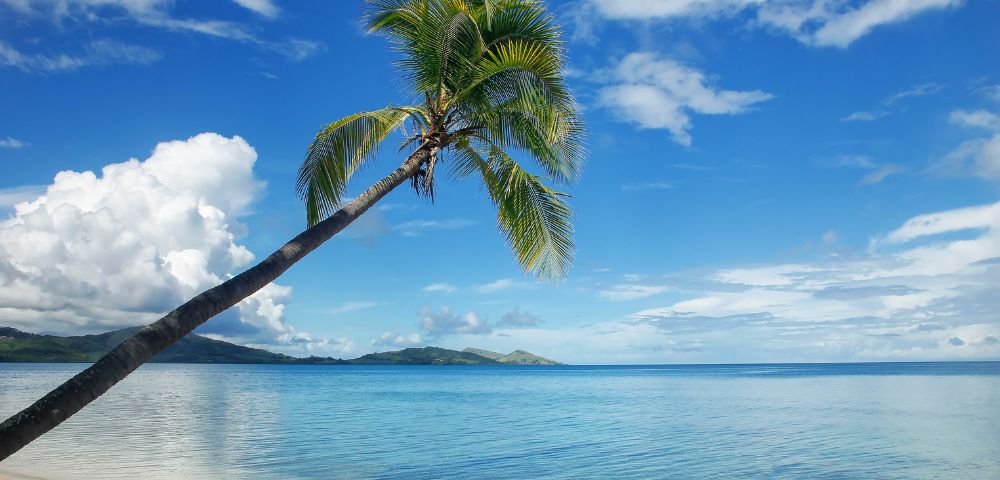 my-fiji-overlookig-the-reef-at-nananu-i-ra-island-in-rakiraki