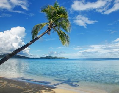 my-fiji-overlookig-the-reef-at-nananu-i-ra-island-in-rakiraki