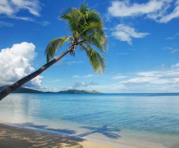 my-fiji-overlookig-the-reef-at-nananu-i-ra-island-in-rakiraki