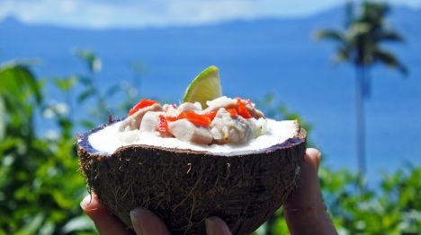 my-fiji-kokoda-coconut-dish-traditional-fijian-food