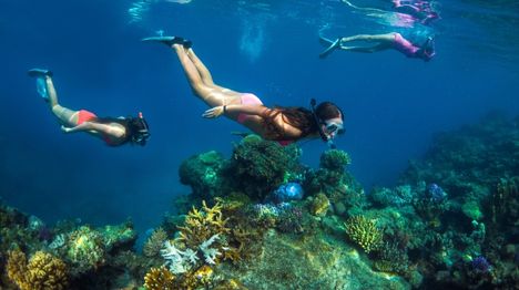 my-fiji-three-people-snorkelling-on-the-reef-endeavour-ship-with-captain-cook-cruises