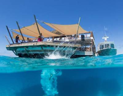 my-fiji-diving-into-water-at-cloud-9-fiji