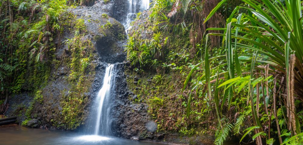 my-fiji-colo-i-suva-waterfall-green-plants-flowing-water