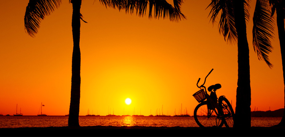 my-fiji-bike-parked-under-palms-at-sunset-at-musket-cove-island-resort-and-marina