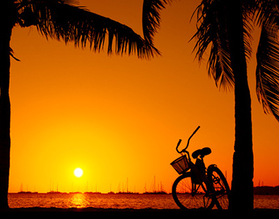 my-fiji-bike-parked-under-palms-at-sunset-at-musket-cove-island-resort-and-marina