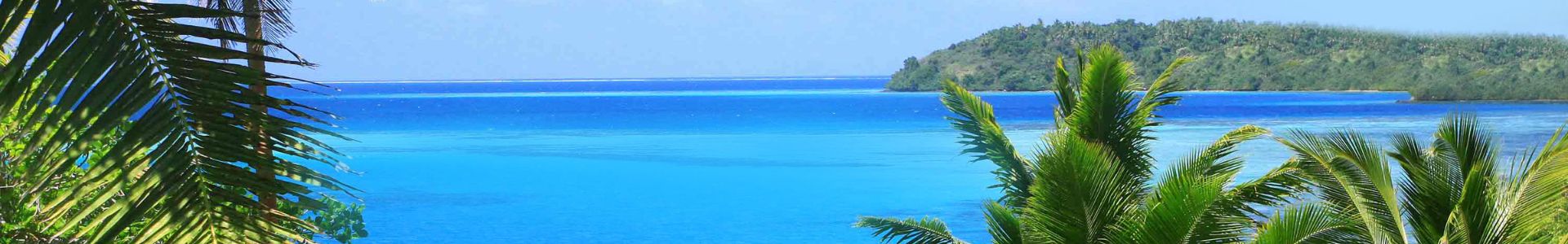 my-fiji-view-of-the-ocean-with-palm-trees