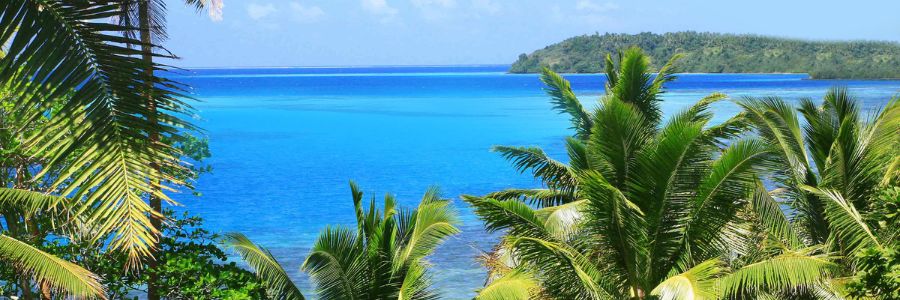 my-fiji-view-of-the-ocean-with-palm-trees