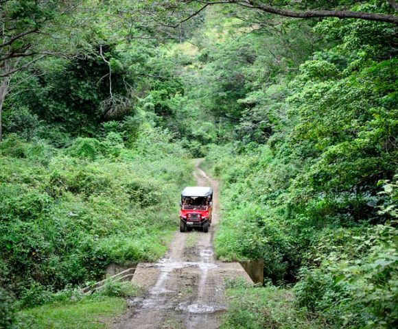 my-fiji-offroad-cave-safari-driving-down-the-road-less-travelled