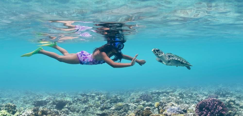 my-fiji-girl-snorkelling-with-a-turtle-in-fiji-at-reef-in-mamanuca-islands