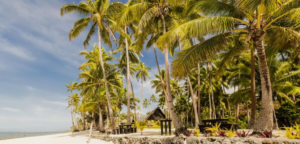 MY-HOLIDAY-Beach-and-coconut-trees-at-Tambua-Sands-Beach-Resort