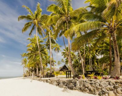 MY-HOLIDAY-Beach-and-coconut-trees-at-Tambua-Sands-Beach-Resort