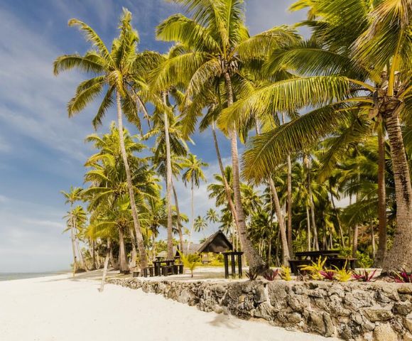 MY-HOLIDAY-Beach-and-coconut-trees-at-Tambua-Sands-Beach-Resort