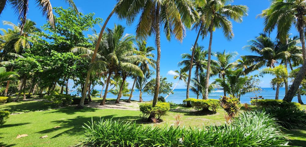 my-fiji-palm-trees-and-view-of-beach-at-waya-island-resort