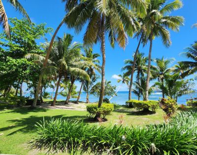 my-fiji-palm-trees-and-view-of-beach-at-waya-island-resort