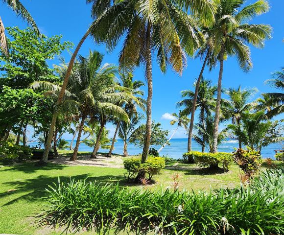 my-fiji-palm-trees-and-view-of-beach-at-waya-island-resort