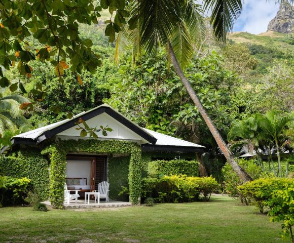 my-fiji-garden-room-in-nature-palm-trees-at-waya-island-resort