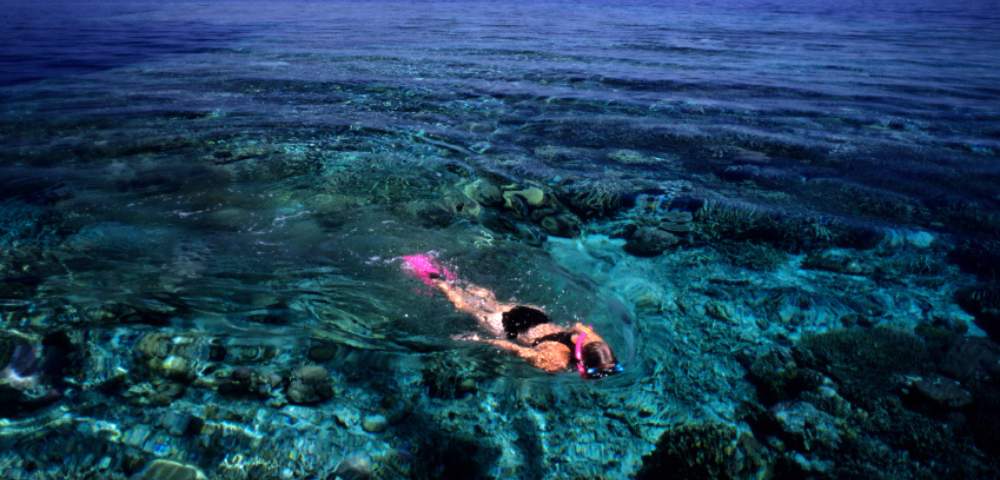 MY-HOLIDAY-YASAWA-ISLAND-RESORT-woman-snorkeling-in-reef