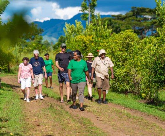 Sabeto Safari Tours - Gallery Image