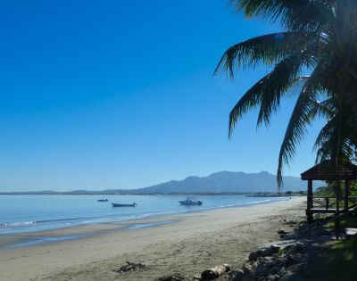 my-fiji-wailoaloa-beach-sand-and-palm-trees