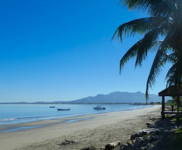 my-fiji-wailoaloa-beach-sand-and-palm-trees