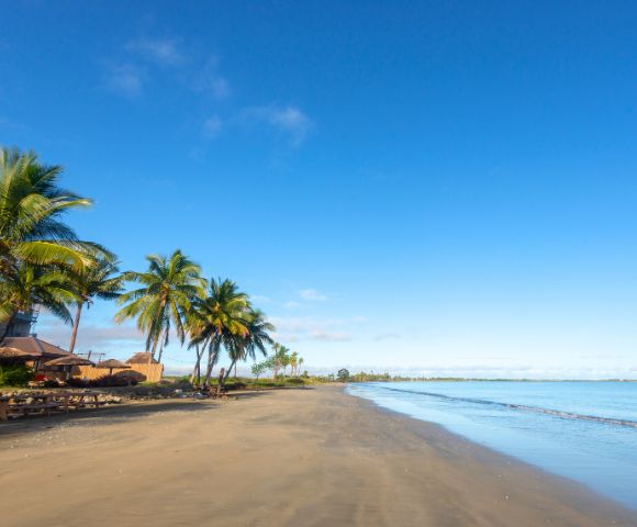 my-fiji-wailoaloa-beach-sand-and-palm-trees