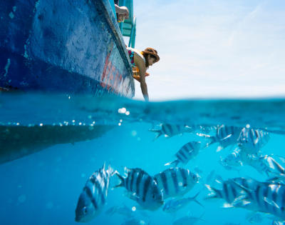 my-fiji-woman-feeding-fish-from-boat-at-beachcomber-island-resort-fiji