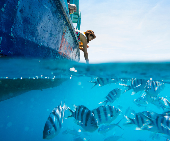 my-fiji-woman-feeding-fish-from-boat-at-beachcomber-island-resort-fiji