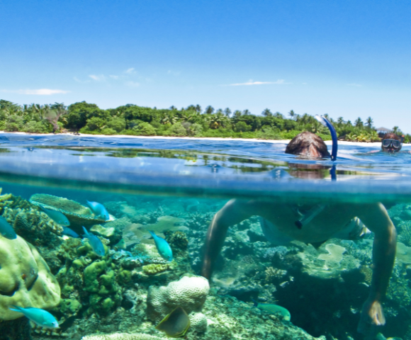 Vomo Island, Fiji - Gallery Image